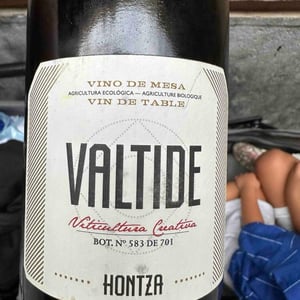 Valtide - Viñedos Hontza - Alice Bridoux & Iker Garcia