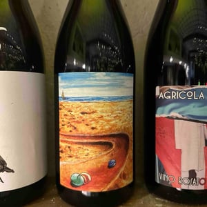 Vandemmia - Bionzo - Andrea Scovero -2022