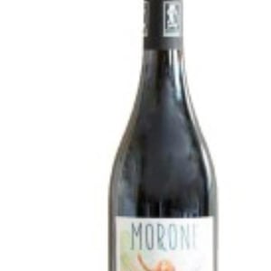 VASSALLO - Cantina Morone - giovanni-eleonora-morone -2020