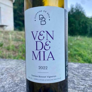 Vendemia - Domaine de Brin - damien-bonnet