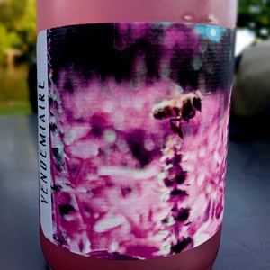 Vendemiaire - 11h11 Fermentations - 11h11-fermentations