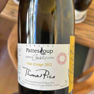 Vent d'Anges - Domaine Pattes Loup - Thomas Pico 