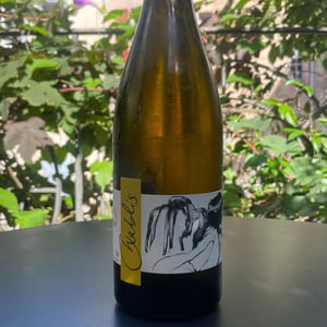Vent d'Anges - Domaine Pattes Loup - Thomas Pico 