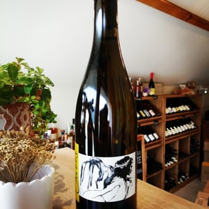 Vent d'Anges - Domaine Pattes Loup - thomas-pico