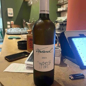 Verdenel - Domaine Plageoles - bernard-florent-romain-plageoles -2019