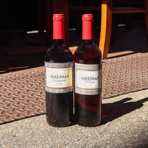 Verduzzo - Azienda Agricola Bressan - fulvio-bressan