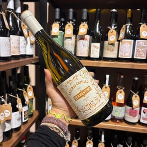Vermentino - Vini Di Territorio - Antonio Camillo -2019
