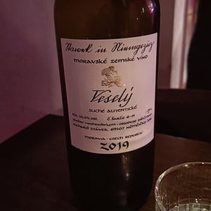Veselý - Richard Stavek - Richard Stavek