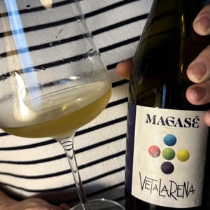 Vetalarena - Bodegas Magasé - joaquin-manes-izquierdo-mercedes-izquierdo-beltran -2024