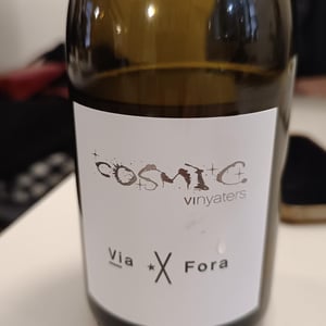 Via X Fora - Còsmic Vinyaters - salvador-batlle-barrabeig 