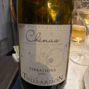 Vibrations - Domaine Thillardon - aude-jean-baptiste-charles-et-paul-henri-thillardon