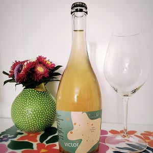 Victor - Bikicki Winery - Djordje Bikicki 