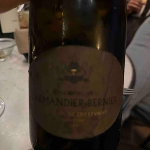 Vieilles Vignes du Levant - Grand Cru - Champagne Larmandier-Bernier - pierre-sophie-arthur-larmandier