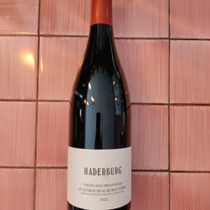 Vigna Hausmannhof - Weingut Harderburg - Alois Ochsenreiter 
