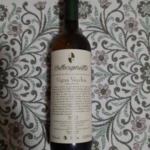 Vigna Vecchia - Collecapretta - Anna & Vittorio Mattioli 