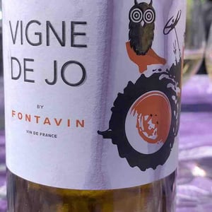 vigne de jo - Fontavin - helene-et-michel-chouvet