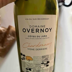 Vigne Derrière - Domaine Overnoy - Guillaume Overnoy