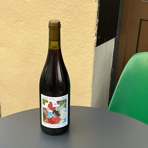 VIGNES D’YS - Bariou & Bodet - jennifer-bariou-thibaut-bodet