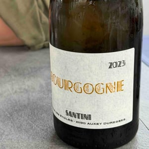 Vin de Bourgogne - Santini Collective - christopher-patrick-santini -2023