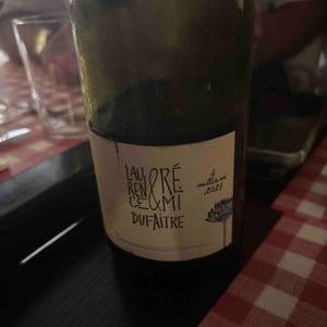 Vin de France 2018 - Domaine de Botheland - Rémi Dufaitre & Laurence Liatard 