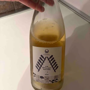 Vin Petillant Naturel - Domaine Overnoy - guillaume-overnoy -2021