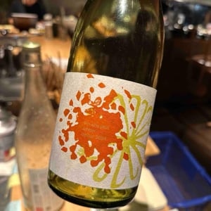 Vin-Shu plus amber detour - Botanical Life - junpei-emi-fukunaga -2024