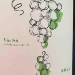 Vin sò - Versante - luca-baroni-marika-giusti -2024