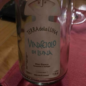 Vinacciolo di Luna - Terra Della Luna - Alessandro Vignali 