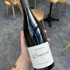 Vincengétorix - Vincent Gaudry - Vincent Gaudry 