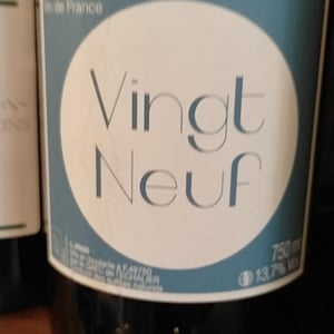Vingt-neuf - Bertin Delatte - Nicolas Bertin & Geneviève Delatte 