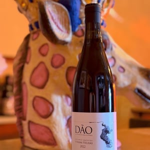 Vinhas Velhas Tinto - Dão, Portugal - antonio-madeira