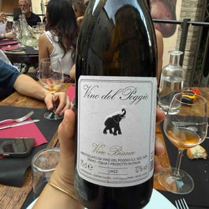 Vino Bianco - Vino del Poggio - Andrea Cervini