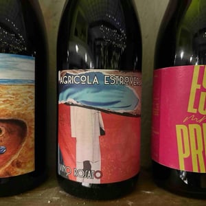 Vino Rosato Big - Agricola Estroversa - Antonio Santini -2022
