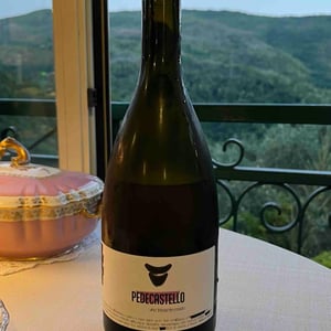 Vino Rosato Frizzante - Pedecastello - Alex Della Vecchia