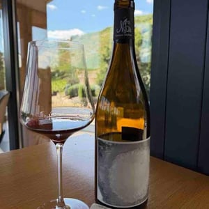 Vinum alobrogia - Maison Stéphan - Romain, Jean-Michel et Dorian Stéphan -2022