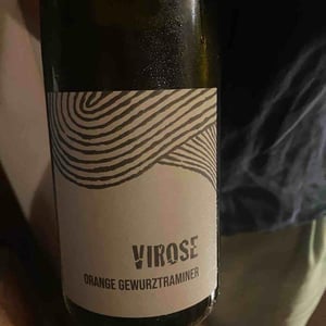 Virose - Léo Dirringer - Léo Dirringer 