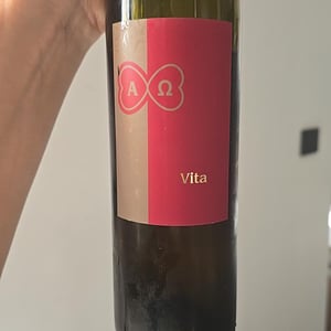 Vita 2021 - VINO PELOZ - alano-peloz -2021