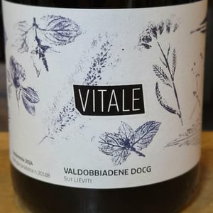 Vitale - Malga Ribelle - vitale-girardi -2022