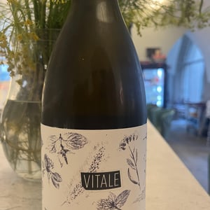 Vitale - Malga Ribelle - Vitale Girardi -2022