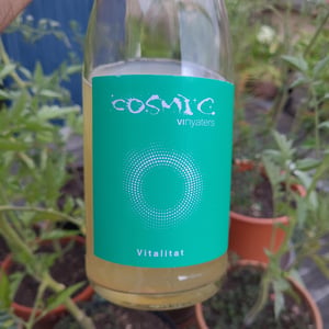 Vitalitat - Còsmic Vinyaters - salvador-batlle-barrabeig