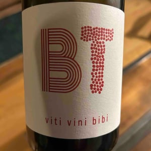 Viti Vini Bibi - Domaine Benjamin Taillandier - Benjamin Taillandier 