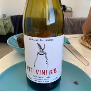 Viti Vini Bibi - Domaine Benjamin Taillandier - Benjamin Taillandier 