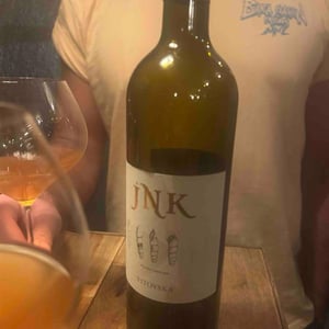 Vitovska - JNK - kristina-boleslav-mervic -2018