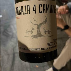 Viura - Bodegas Moraza - Janire Moraza and Patricio Brongo 