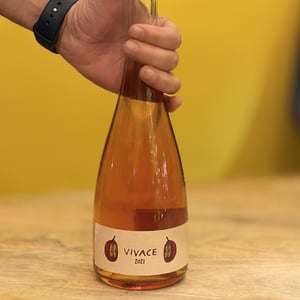 Vivace - Tenuta Baroni Campanino - Andrea Caracciolo -2022