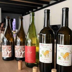 Vivir Es Vivir - GOGO Wine / Artanuli Gvino - kakha-ketevan-berishvili