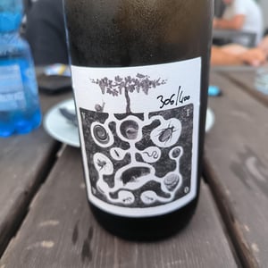 Vivo - UVA, MANI E CUORE - giulia-marchioni-adriano-de-martin