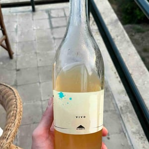 Vivo - La Casetta - la-casetta -2023
