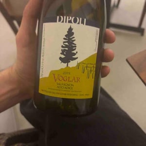 Voglar - Dipoli - peter-dipoli -2019