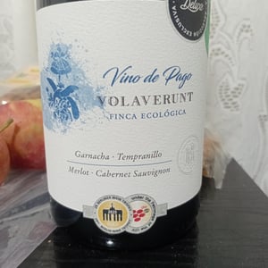 Volaverunt - Pago de Ayles - jorge -2023